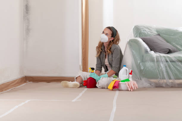 Reliable Mold Remediation contractor in Lambertville, MI by 24 Hour Mold Removal